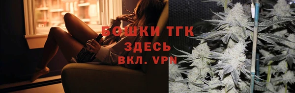 шишки Баксан