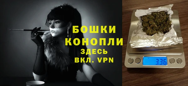 шишки Баксан