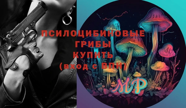 шишки Баксан