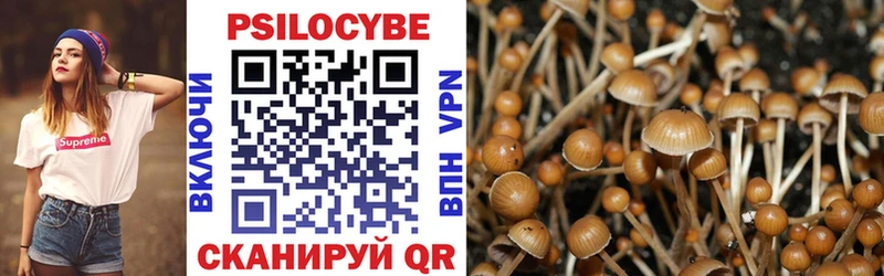 Псилоцибиновые грибы GOLDEN TEACHER  Кущёвская 